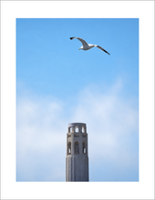 Load image into Gallery viewer, Bird in flight above Coit Tower surrounded by fog and blue sky in San Francisco.
