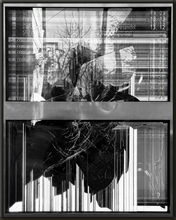 Load image into Gallery viewer, Digital Man (Print)

