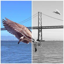 Load image into Gallery viewer, Escape the Past (Print)
